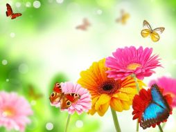 Фреска Цветы и бабочки