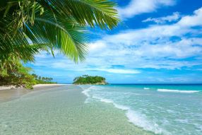 Фреска Пляж с пальмами