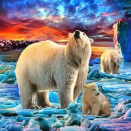 Фотообои Белые медведи
