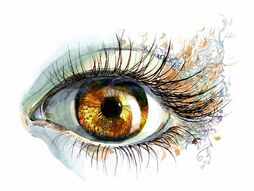 Фреска Акварельный рисунок глаза